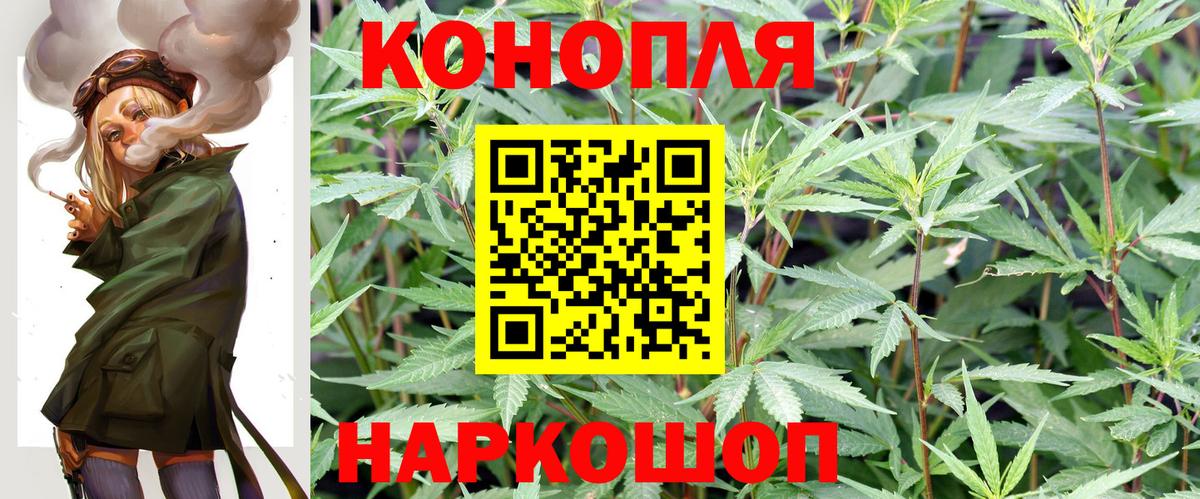 Бошки Шишки план Изобильный